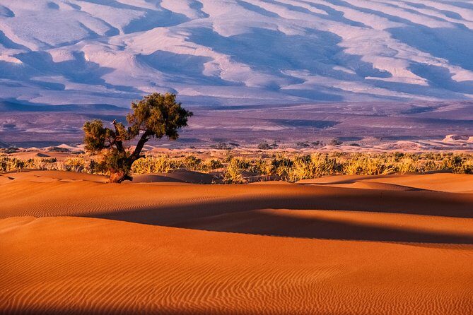 3-Day Merzouga Desert Trip From Fes To Marrakech - Authentic Experiences and What Travelers Value