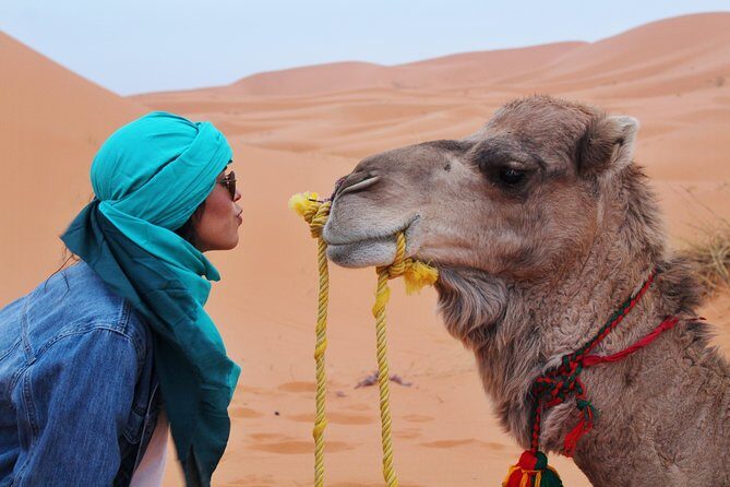 3-Day Merzouga Desert Trip From Fes To Marrakech - Who Will Love This Tour?