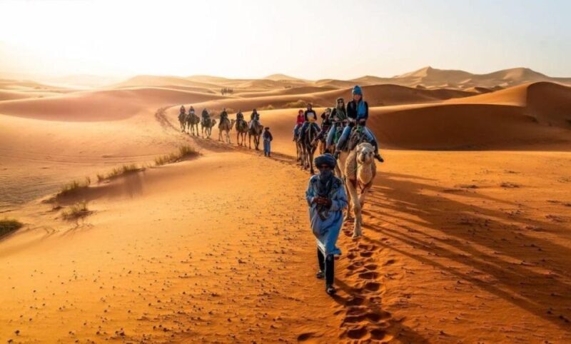 3-Day Merzouga Trip: Camel Ride, Food & Budget Camping - Transportation and Group Size