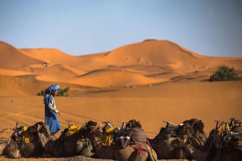 3-Day Merzouga Trip: Camel Ride, Food & Budget Camping - Final Thoughts: Is This Tour Right for You?
