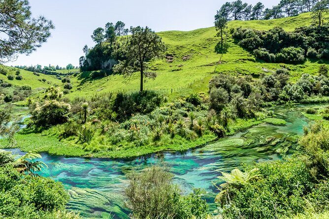 3 Day Minivan Tour From Hamilton to Taupo - Final Thoughts