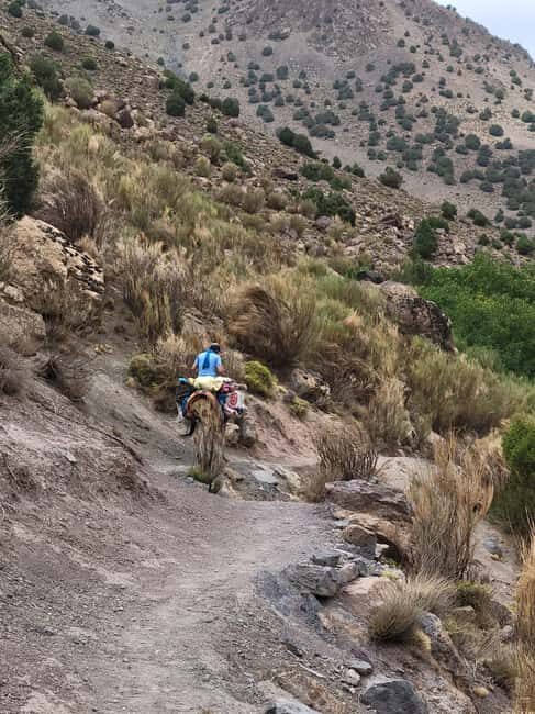 3-Day Mount Toubkal AdventureHike, Culture &Local Food - Frequently Asked Questions