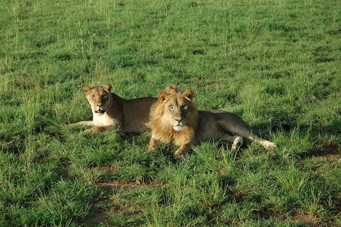 3-Day Murchison Falls National Park - Adventure Safari - Authentic Experiences According to Travelers