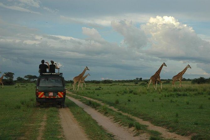 3-Day Murchison Falls National Park - Adventure Safari - Who Is This Tour Best For?