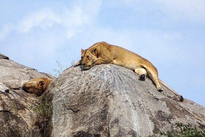 3-Day Ngorongoro Crater Manyara and Tarangire Safari from Arusha - The Sum Up