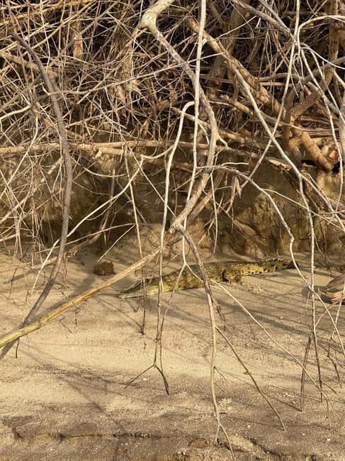 3-Day Nyerere National Park Safari from Zanzibar with Flight - Frequently Asked Questions