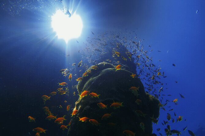 3-Day Open Water Scuba Diving Course in Aqaba - Benefits of Choosing Waves Diving Center