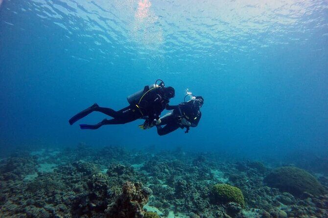 3-Day Open Water Scuba Diving Course in Aqaba - Pricing and Value