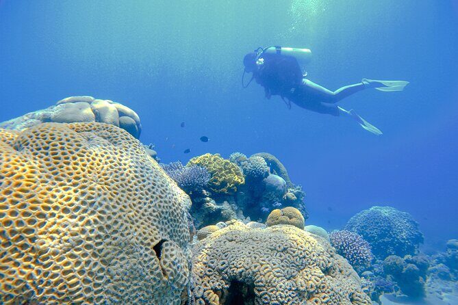 3-Day Open Water Scuba Diving Course in Aqaba - Who Will Love This Experience?