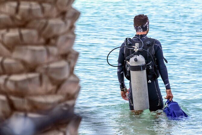 3-Day PADI Open Water Diving Course in Dubai - The Sum Up