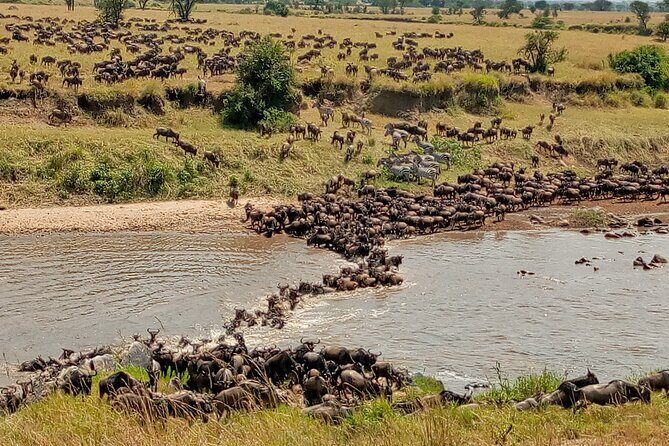 3 Day Private 4x4 Jeep Tour in Masai Mara Safari - An Honest Look at the Itinerary and Experience