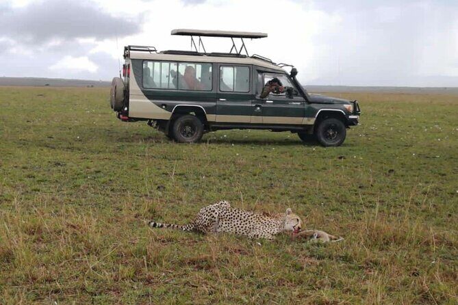 3 Day Private 4x4 Jeep Tour in Masai Mara Safari - Transportation and Comfort