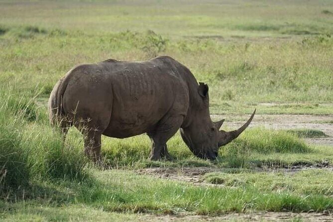 3 Day Private 4x4 Jeep Tour in Masai Mara Safari - FAQs