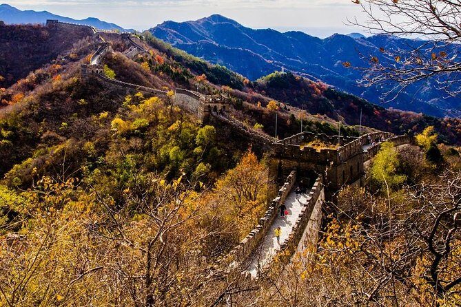 3-Day Private Beijing Tour with Forbidden City, Great Wall, Hutong and Lunch - What the Reviews Say
