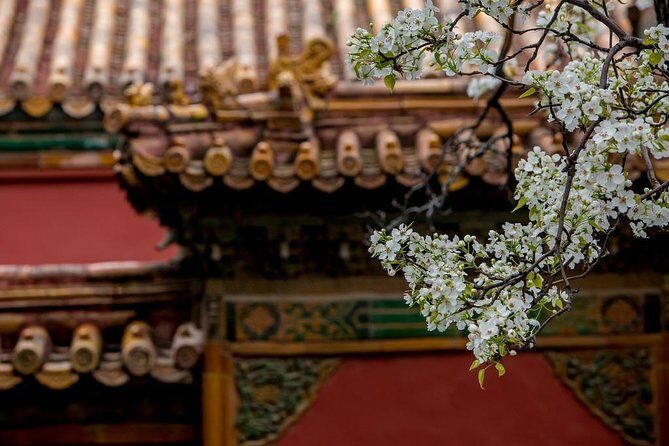 3-Day Private Beijing Tour with Forbidden City, Great Wall, Hutong and Lunch - The Cost and What You Get for $518