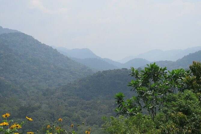 3 -Day Private Gorilla Trekking Safari in Bwindi Forest - FAQ