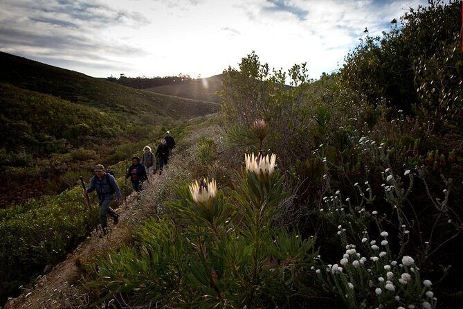 3-Day Private Hiking Trail in The Overberg - The Trail Highlights