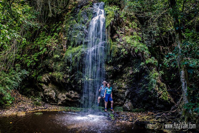 3-Day Private Hiking Trail in The Overberg - Accommodation and Comfort