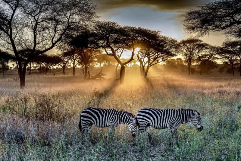 3-Day Private Midrange Serengeti Ngorongoro Tour with Flight - A Closer Look at the Itinerary