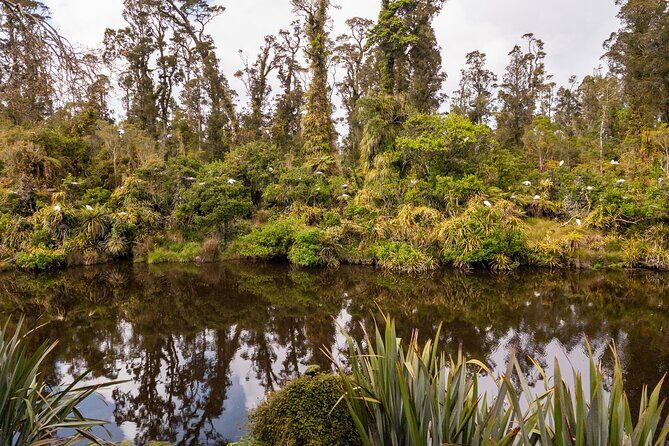 3 Day Private Photography Tour West Coast NZ Departs Queenstown - Authentic Feedback from Past Travelers