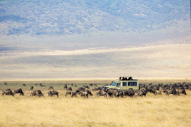 3-Day Private Safari to Lake Manyara, Tarangire & Ngorongoro - Exploring the 3-Day Itinerary