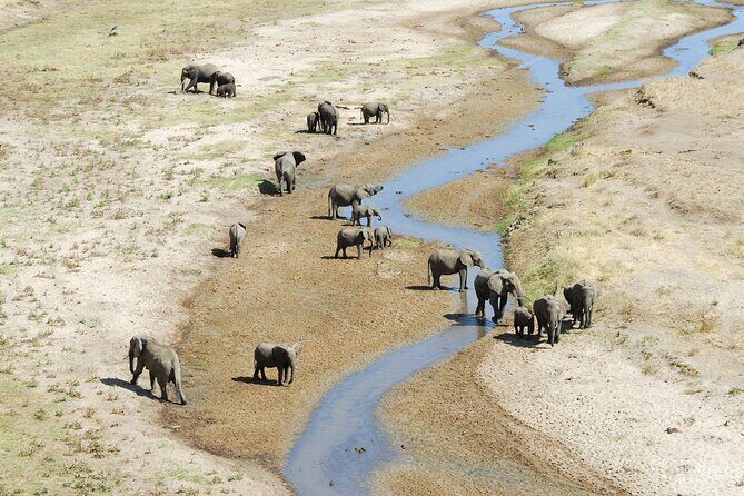 3-Day Private Safari to Lake Manyara, Tarangire & Ngorongoro - The Real Value of This Safari