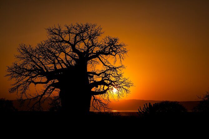 3-Day Private Safari to Lake Manyara, Tarangire & Ngorongoro - Final Thoughts