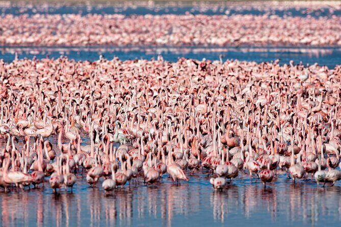 3-Day Private Safari to Lake Manyara, Tarangire & Ngorongoro - FAQ