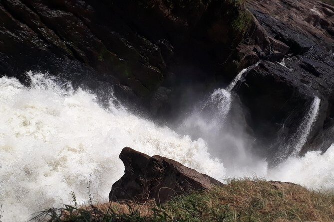 3 Day Private safari to Murchison Falls National Park with Big Five Experience - Key Points
