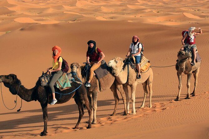 3-Day Private Sahara Desert to Merzouga from Marrakech with Licensed Guide - The Details: Transport, Accommodation, and Meals