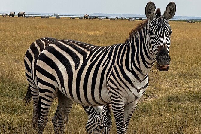 3 Day Private Tour in Maasai Mara with Lodge Luxury with Jeep - Practical Tips for Future Travelers