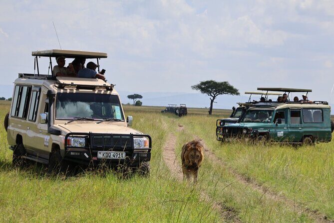 3 Day Private Tour in Maasai Mara with Lodge Luxury with Jeep - FAQ: Your Practical Questions Answered
