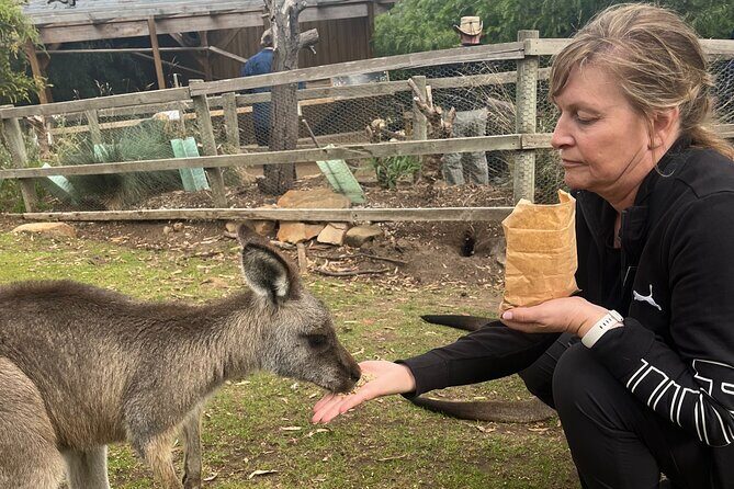 3 Day Private Tour in Tasmania - Final Thoughts: Is It Worth It?