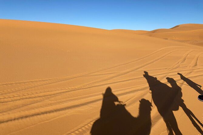3-Day Private Tour in the Moroccan Desert - The Travel Experience