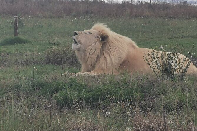 3-Day Private Tour Johannesburg - See everything - Key Points