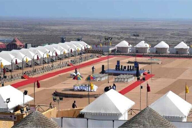3 day private tour of Rann of Kutch from Ahmedabad - Wrapping It Up