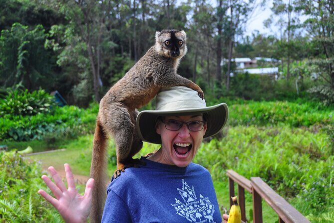 3-Day Private Tour to Andasibe National Park - Key Points