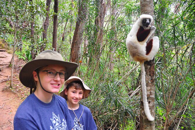 3-Day Private Tour to Andasibe National Park - What the Tour Means for You