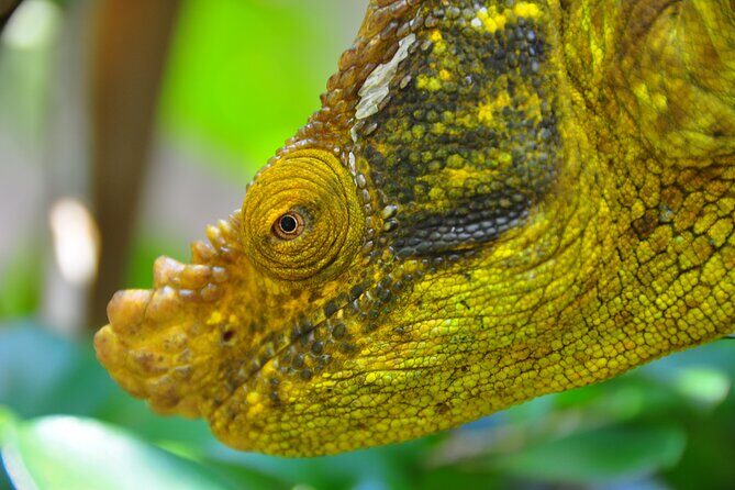 3-Day Private Tour to Andasibe National Park - FAQ