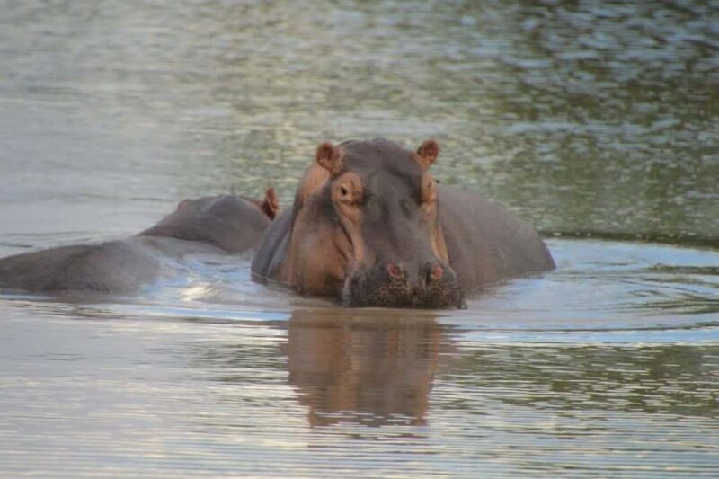 3-Day Private Tsavo East & West Safari  Experience wildness - Practical Considerations