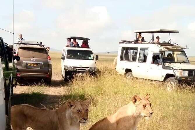 3 Day Private Wild Safari Tour in Maasai Mara - What’s Included and What’s Not