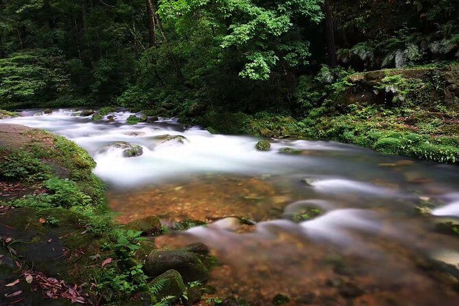 3-Day Private Zhangjiajie In-depth Exploring Tour - Authentic Insights from Past Travelers