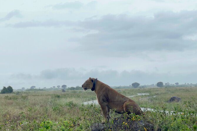 3 Day Queen Elizabeth National Park Budget Tour - Price and Value Analysis