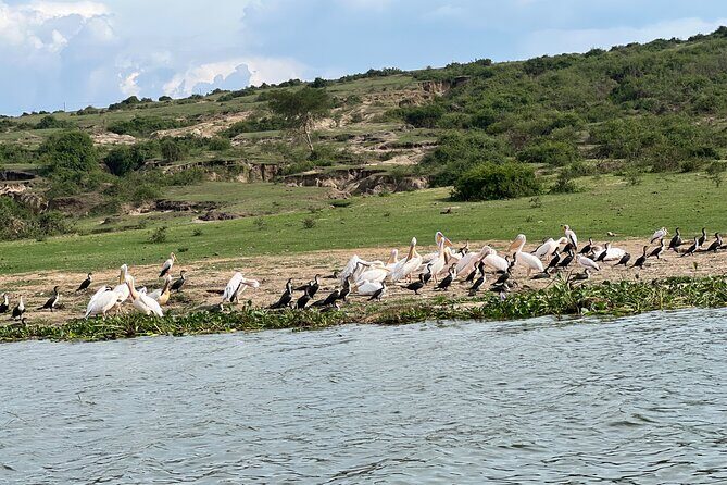 3 Day Queen Elizabeth National Park Budget Tour - The Sum Up: Is It Worth It?