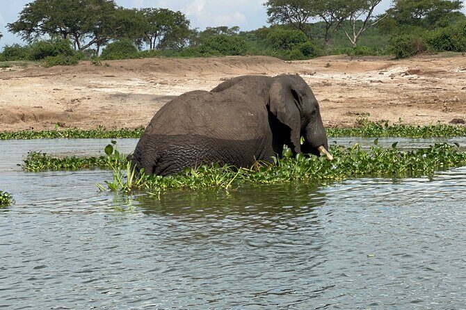 3 Day Queen Elizabeth National Park Budget Tour - FAQ