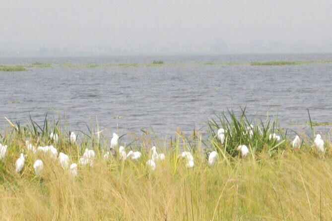 3-Day Queen Elizabeth safari - Who Should Consider This Tour?