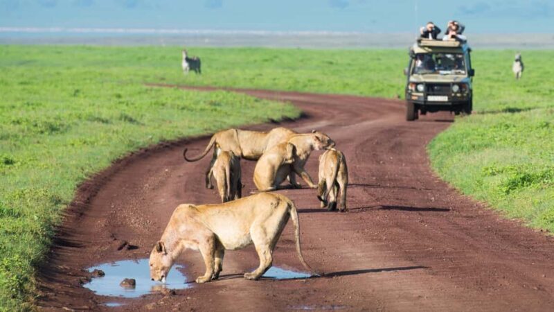 3-Day Queen Elizabeth Wildlife Safari - Day 1: Journey from Kampala to Queen Elizabeth National Park