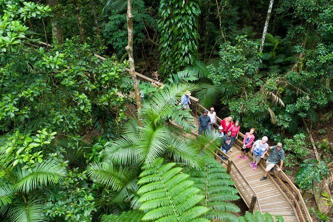 3 Day Reef Cruise, 4WD Rainforest and Outback Chillagoe Package - An In-Depth Look at the 3-Day Reef, Rainforest, and Outback Tour