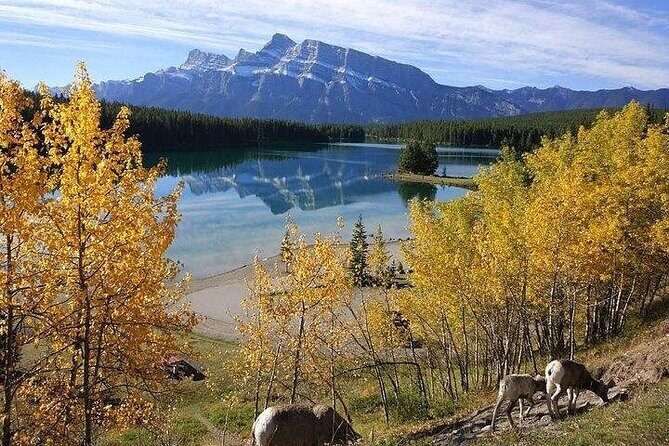 3-Day Rockies Express Tour Package: Banff, Lake Louise and Yoho - What Travelers Say