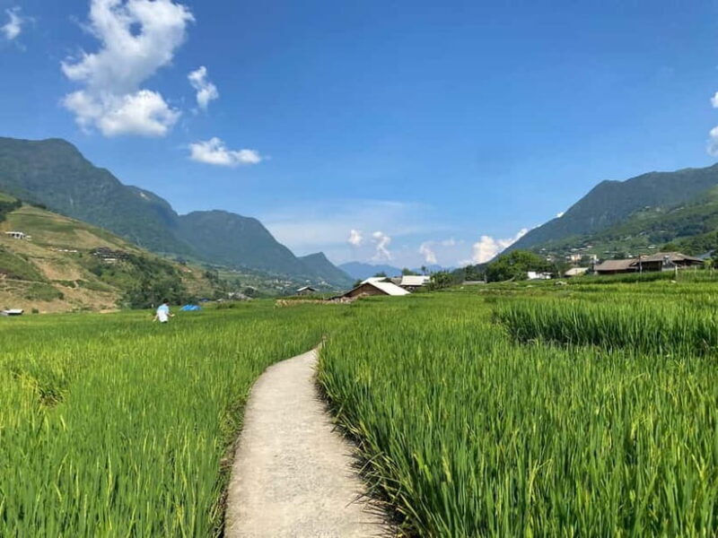 3-Day Sa Pa Trek: Villages, Rice Terraces & Bamboo Forest - Final Thoughts: Who Is This Tour For?